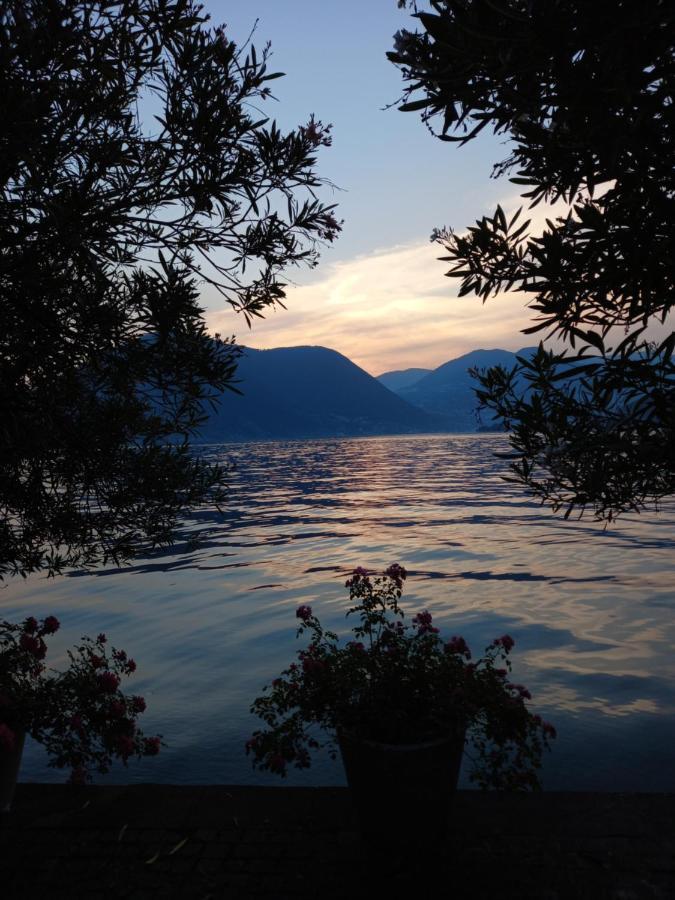 L'Oleandro Sul Lago D'Iseo B&B 苏尔扎诺 外观 照片
