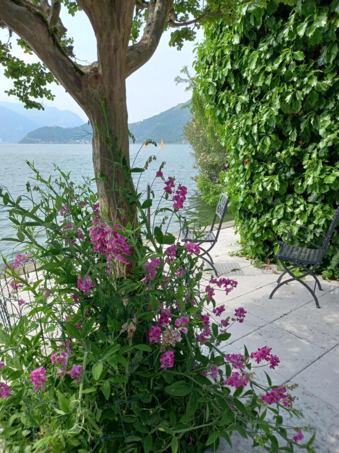 L'Oleandro Sul Lago D'Iseo B&B 苏尔扎诺 外观 照片
