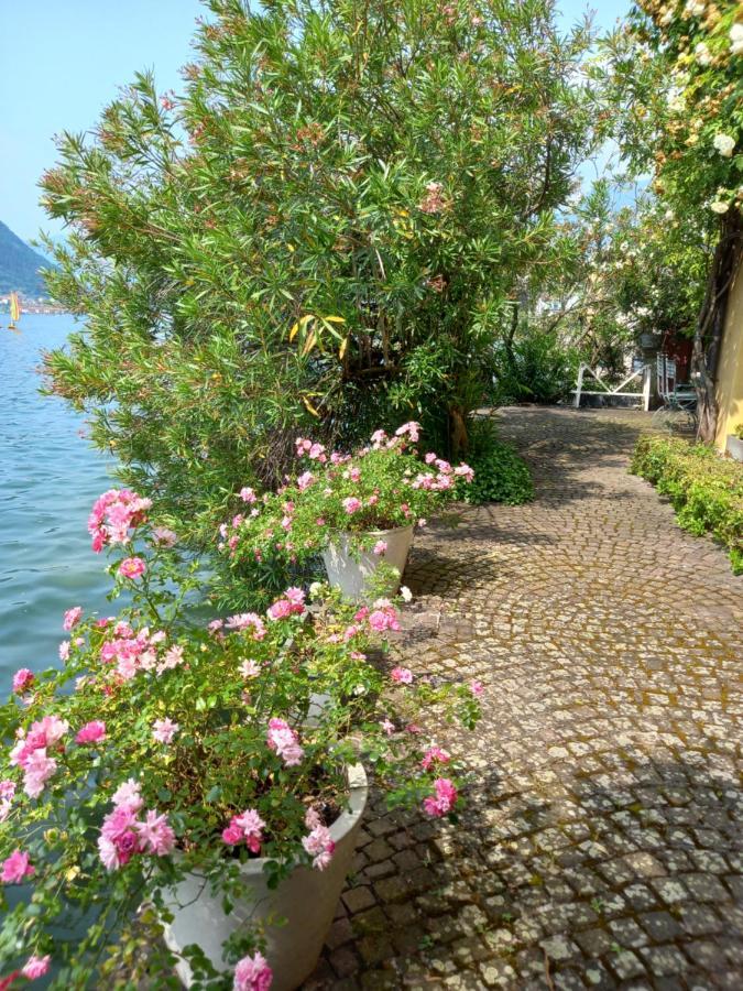 L'Oleandro Sul Lago D'Iseo B&B 苏尔扎诺 外观 照片