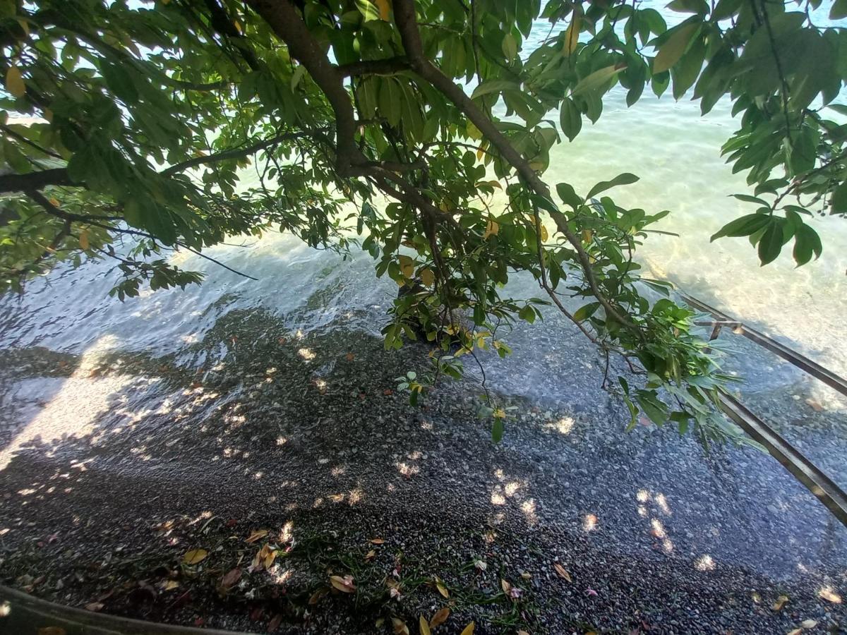 L'Oleandro Sul Lago D'Iseo B&B 苏尔扎诺 外观 照片