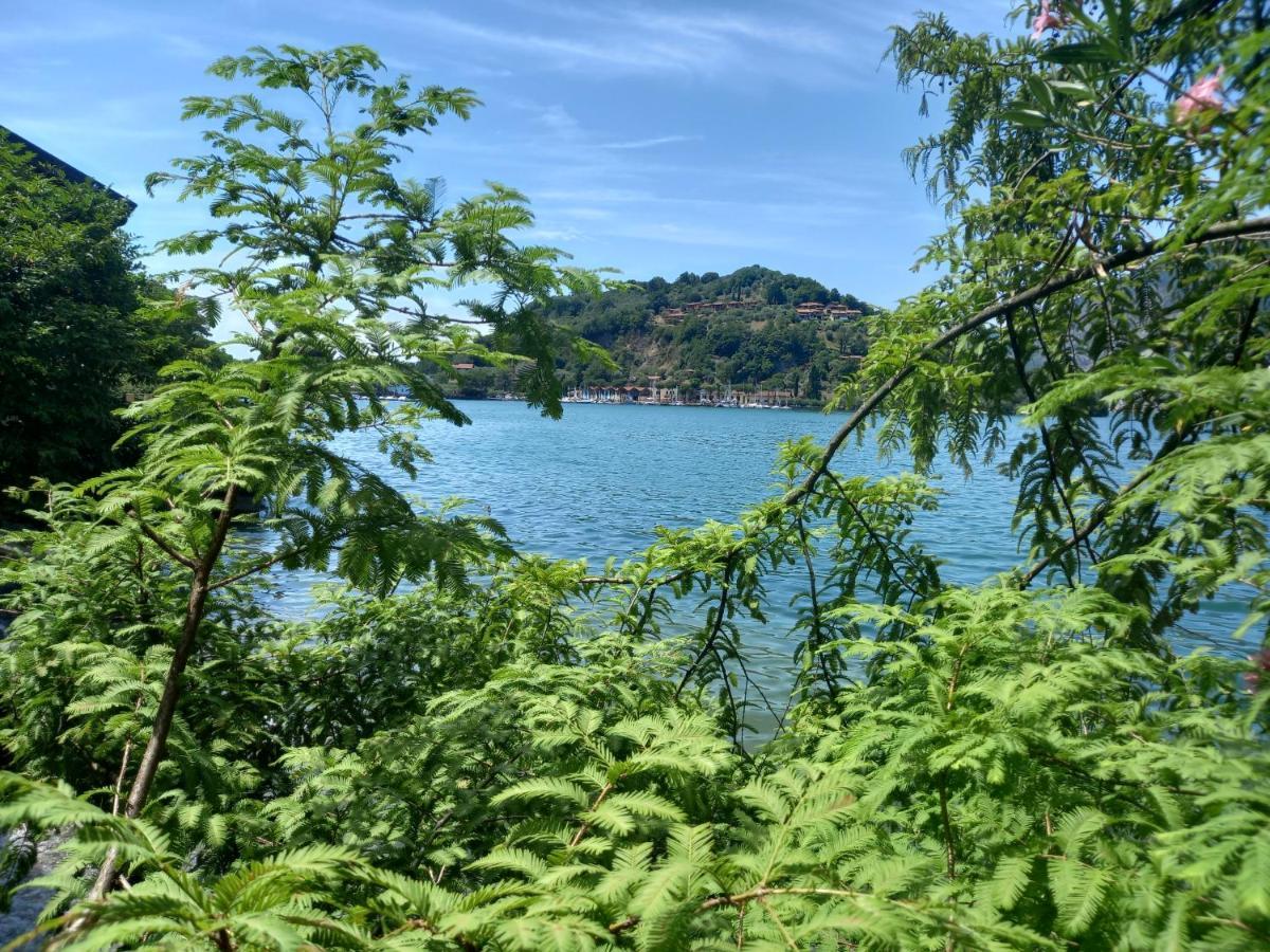 L'Oleandro Sul Lago D'Iseo B&B 苏尔扎诺 外观 照片
