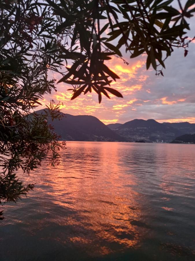 L'Oleandro Sul Lago D'Iseo B&B 苏尔扎诺 外观 照片
