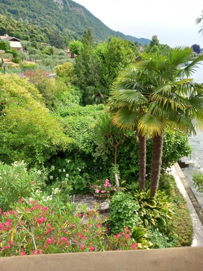 L'Oleandro Sul Lago D'Iseo B&B 苏尔扎诺 外观 照片