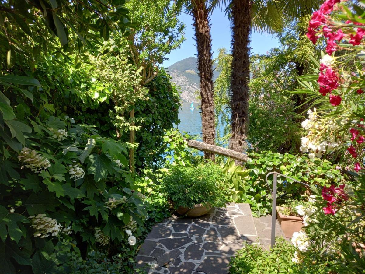 L'Oleandro Sul Lago D'Iseo B&B 苏尔扎诺 外观 照片