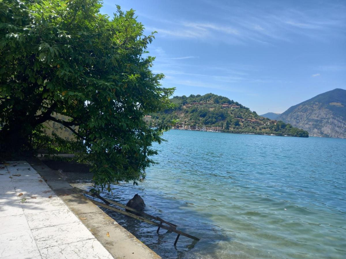 L'Oleandro Sul Lago D'Iseo B&B 苏尔扎诺 外观 照片