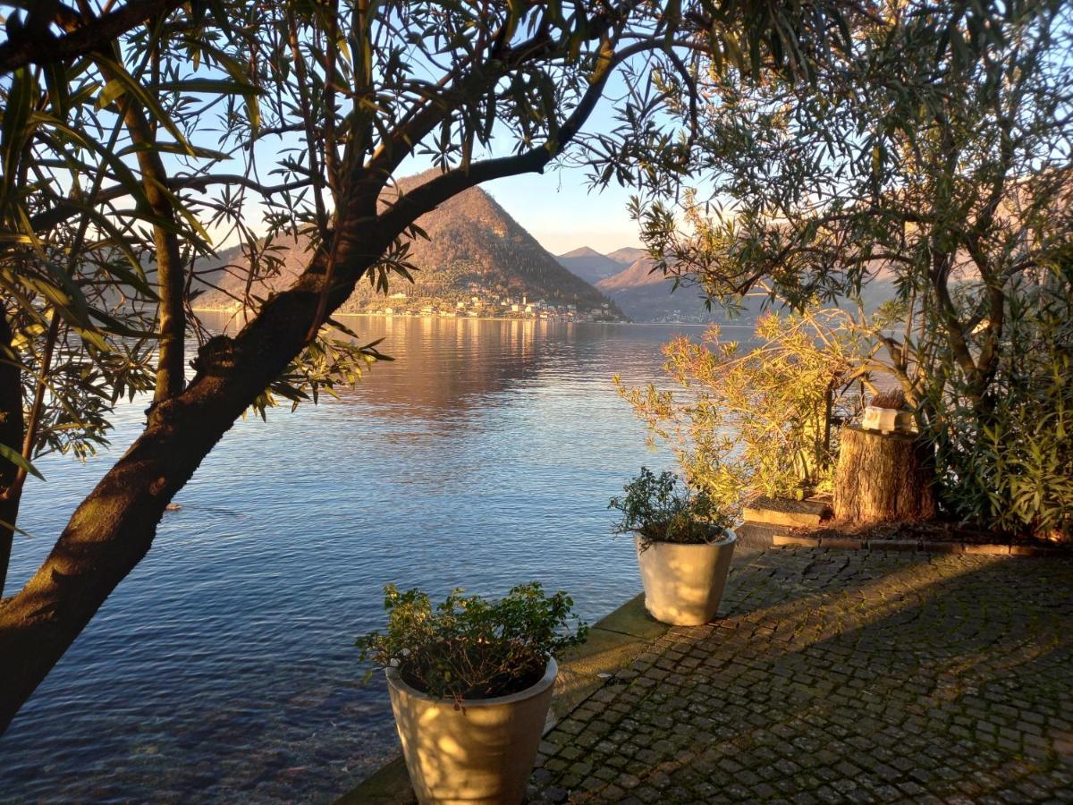 L'Oleandro Sul Lago D'Iseo B&B 苏尔扎诺 外观 照片