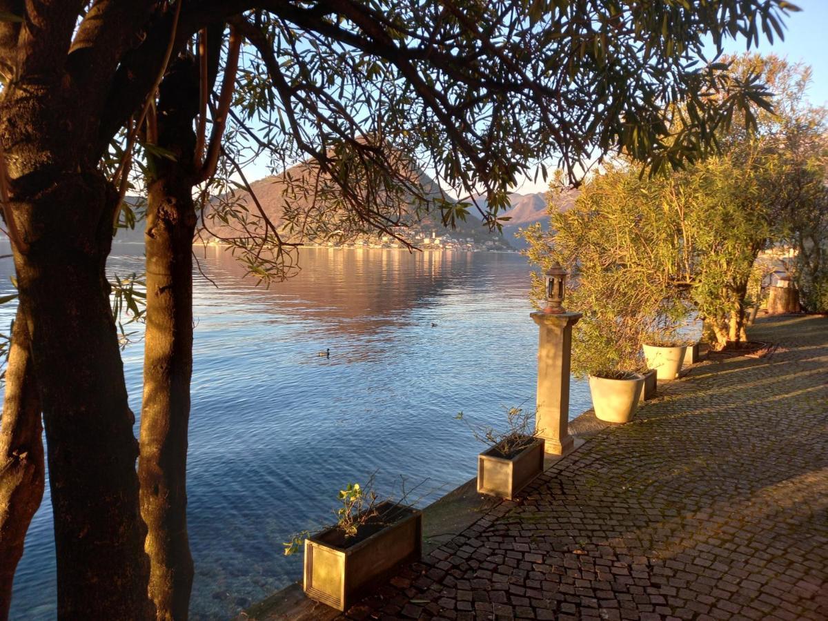 L'Oleandro Sul Lago D'Iseo B&B 苏尔扎诺 外观 照片