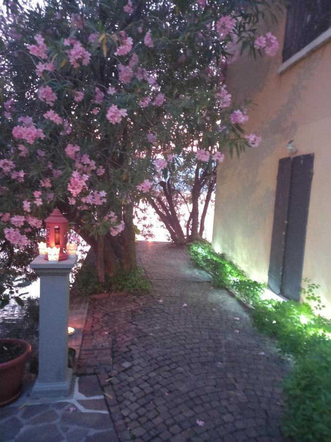 L'Oleandro Sul Lago D'Iseo B&B 苏尔扎诺 外观 照片