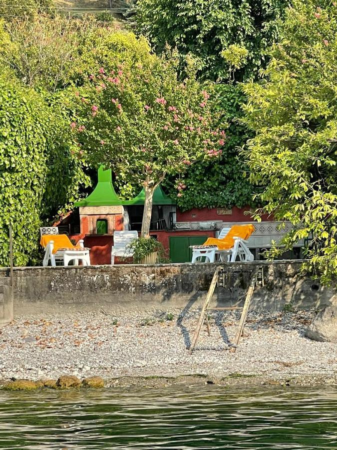 L'Oleandro Sul Lago D'Iseo B&B 苏尔扎诺 外观 照片
